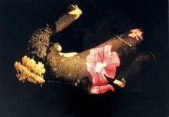 ALBERT CHONG – PROJECTIONS – Art Announcement Card 2001