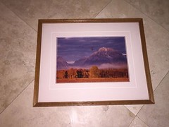 T. MANGELSEN ORIGINAL «CHANGING SEASONS» PHOTOGRAPH SIGNED 220/950- 21″ x 17″