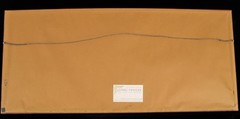 SIGNED TITLED TENDING TULIPS II 26/250 SOFT FOCUS PANORAMIC PHOTOGRAPH WOW !!
