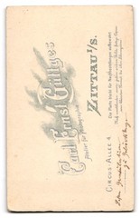 Photograph Carl Ernst Güttges, Zittau, Circus-Allee 4, young man in suit with