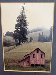 Signed Numbered Matted Barn Country Tree Photo 1988 Has Flaw