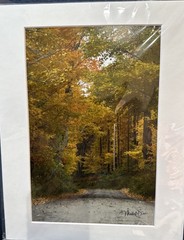 Michael Descher Wall Art 10×8 Lot Of 2 Trees