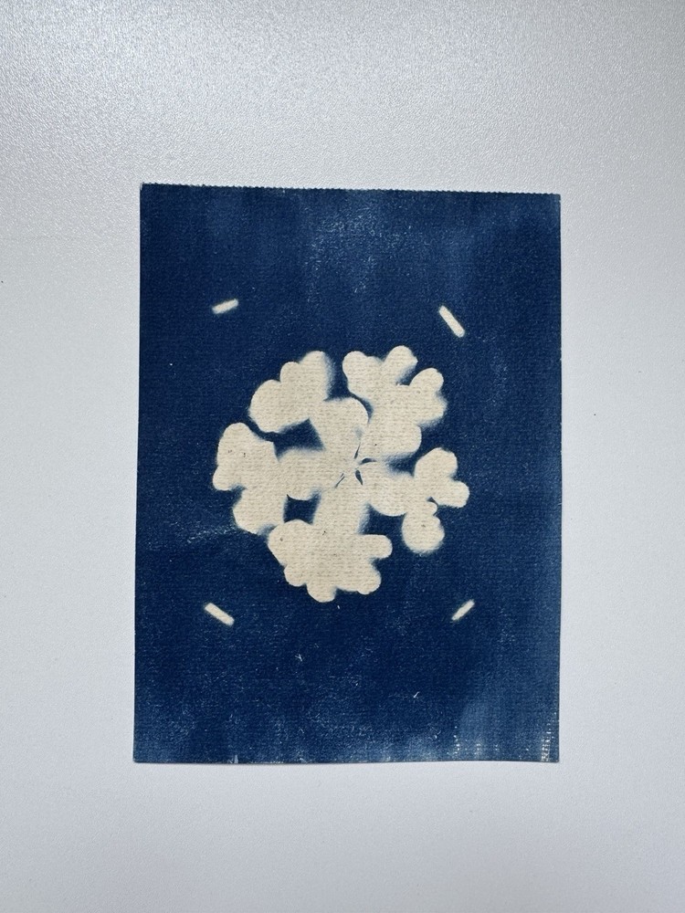 Flower|Cyanotype Botanical Print | Handmade Blue Photographic Art | 15×20 cm