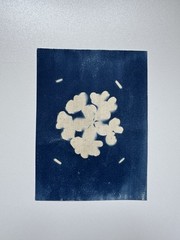 Flower|Cyanotype Botanical Print | Handmade Blue Photographic Art | 15×20 cm