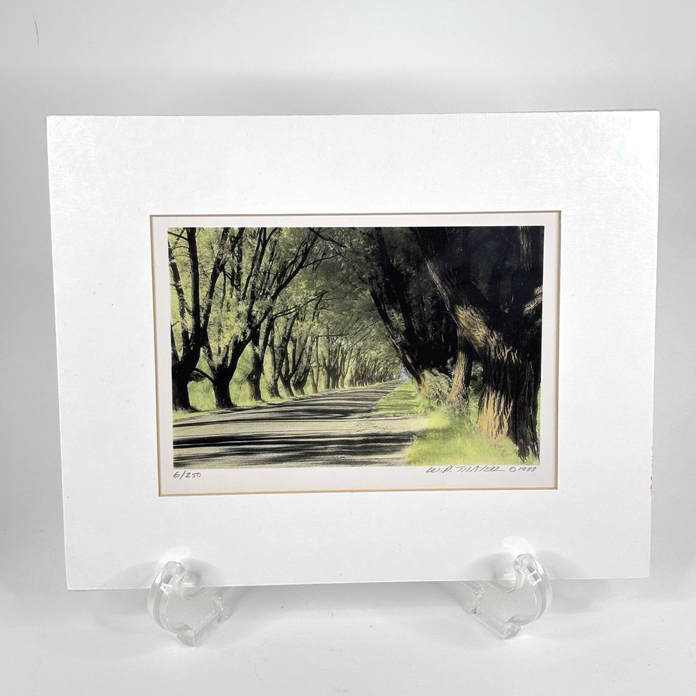 William Thayer Shady Lane Signed Art Photo Hand Colored Matted 6/250 in Plastic