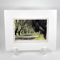 William Thayer Shady Lane Signed Art Photo Hand Colored Matted 6/250 in Plastic
