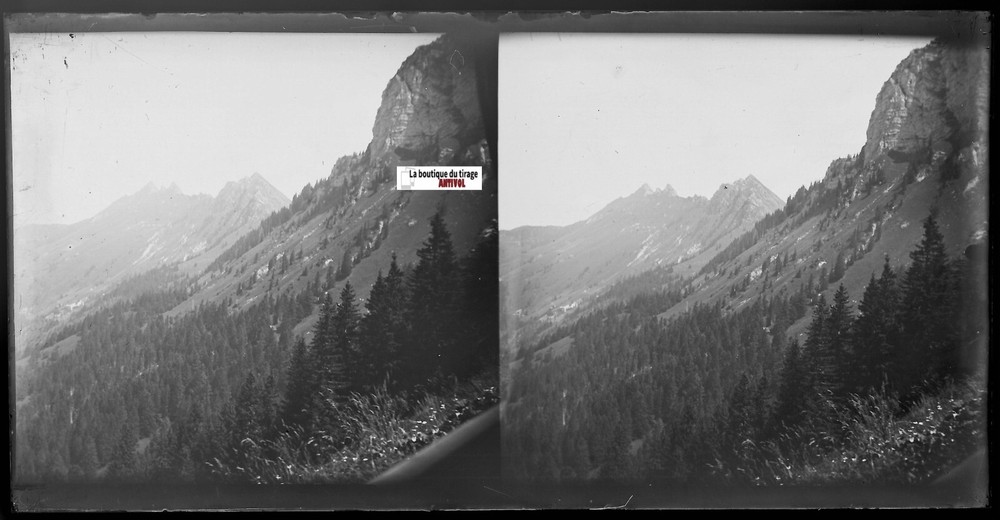 Mountain, Nature, Glass Photo Plate, Stereo Negative Black & White 9×18 cm
