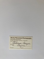 ANTELOPE CANYON, ARIZONA X2 Signed FRED & JOAN HANSELMANN Limited Edition Print