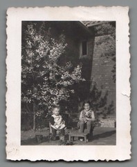 Bundle of 6 Photos Children Buttstädt Thuringia Pram Tricycle 1930s (F1264)