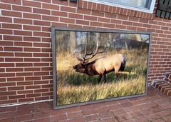 DOUGLAS STRATTON PHOTOGRAPHY FRAMED BULL ELK 2012 40X60 EDITION 1 OF 8 Signed ￼
