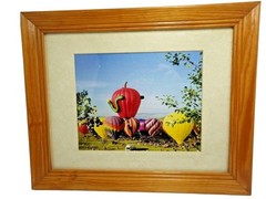 Steamboat Springs Hot Air Balloon Nature Landscape Wood Framed Wall Art lot 3