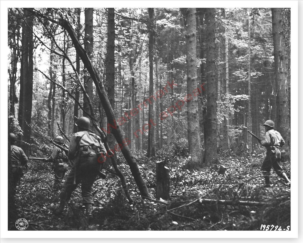 WWII American 28th Infantry Div Soldiers In Hurtgen Forest Silver Halide Photo