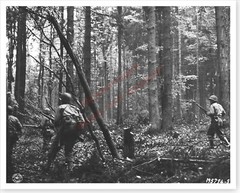 WWII American 28th Infantry Div Soldiers In Hurtgen Forest Silver Halide Photo