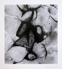 BRETT WESTON Signed 1970’s Original Photograph – «Abstract Image»