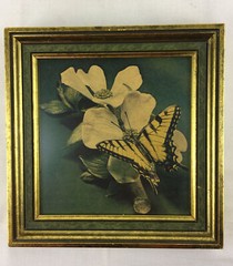 VTG 70’s Dogwood & Swallowtail Butterfly Photo in Green Gold Picture Frame 7.5″