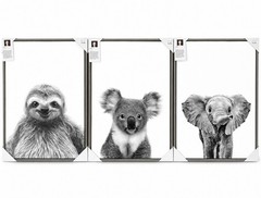 Simon Te Black And White Animal Photograph, Framed(Grey) 3pk.