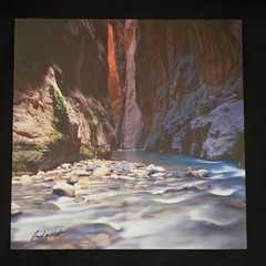 Zion National Park Narrows Photograph Signed David J. West on Aluminum 12″×12″