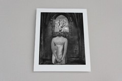 Fine Art B+W Photography Signed Ltd Edition SURREAL Tree of Knowledge in AD 2000