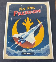Star Wars Propoganda Collectible 8.5 x 11 Canvas Fan Art Print Resistance