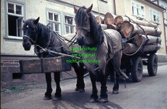 Finsterbergen Friedrchroda – GDR 1960 – 7x Orig Slide Photo Colour Slide – ZA63.65-70