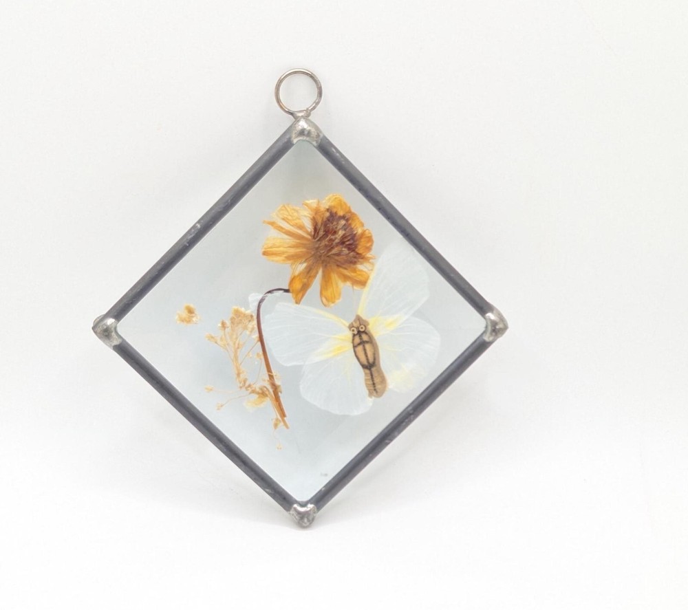 Vintage Beveled Pressed Flower Glass Leaded Lead Small Wall Art Moth Butterfly