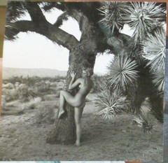 Andre De Dienes Nude Woman & Joshua Tree Photo Silver Gelatin Print 1960, COA