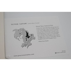Gray Crane Studios Framed Canvas Art of Grand Teton National Park Safari Small