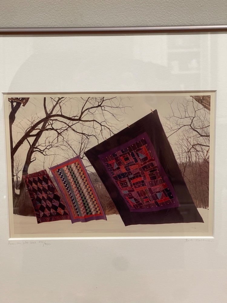 Bill Coleman Amish No. 363 Signed by artist, numbered Framed Color Photograph