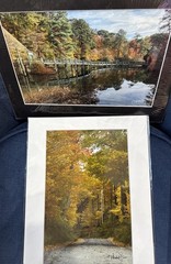 Michael Descher Wall Art 10×8 Lot Of 2 Trees