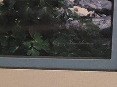Nature Photography Titled Bells By Harry Bowden Framed Sealed
