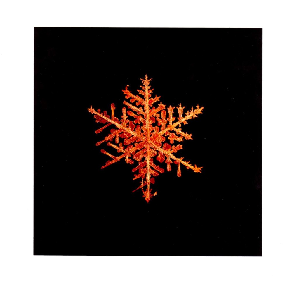 Doug Starn / SNOWFLAKE PRINT SIGNED ALLEVERYTHINGTHATISYOU SNO8_242.1 8 x 8 1st
