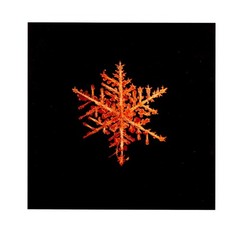 Doug Starn / SNOWFLAKE PRINT SIGNED ALLEVERYTHINGTHATISYOU SNO8_242.1 8 x 8 1st