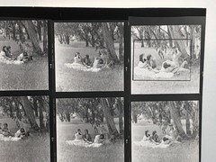 NEWLY FOUND! Hendrickson PHOTO Contact Sheet Proof & Negatives VICTORIAN COUPLES