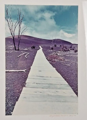 Framed Photograph by Gary Masline 1975 Signed 25″x21″ Frame Excellent Condition!