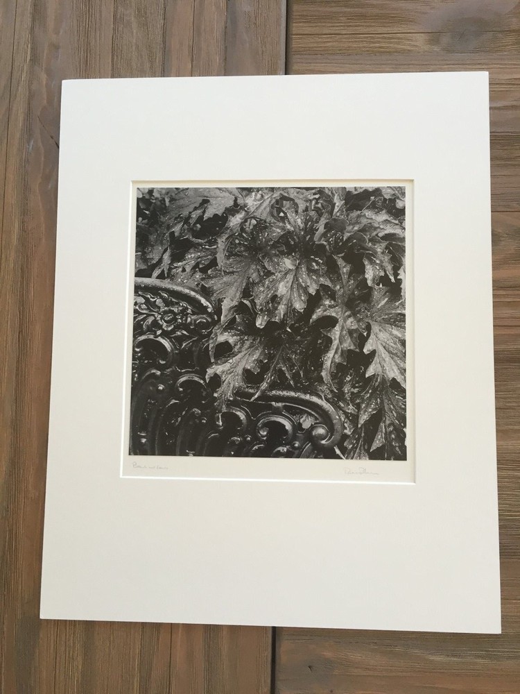 BRUCE BLUM SIGNED B&W Photo Print (10″X 10″)-«Bench and Leaves-2 «