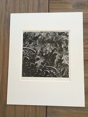BRUCE BLUM SIGNED B&W Photo Print (10″X 10″)-«Bench and Leaves-2 «