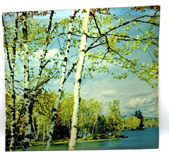 Helmscene Partial Pictures (3pcs) for Craft or Your own Lighted picture Frame