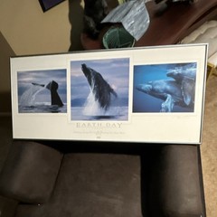 Bob Talbot Signed Limited Edition Framed Whale Photograph Earth Day 1995 17.5×39