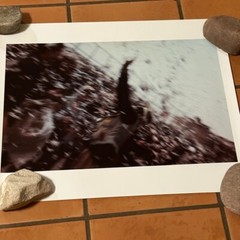 Janine Gordon Photograph 60″x72″ C-print Edition Grid Bike Kill Signed Fine Art