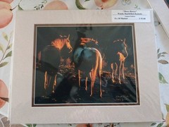 3 Wendy Shattil/Bob Rozinski Signed Gathering Of Horses Cowboy Matted Photos