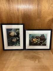 Set of 2 Underwater Photos with Fish, Coral, Sea, «Bigfoot Coral» Numbered
