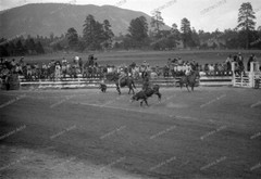 Negative-Rodeo-Festival-Colorado-Mountain-USA-United States of America-1930s-24