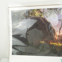 Disney Raya And The Last Dragon Collector’s Lithograph