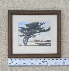 Vtg Gibson Hand Tint Oil Color Photo The Sentinal Cypress Tree 12.75”x11.3/8” VG