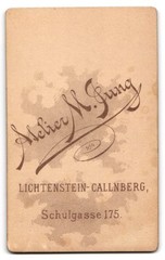 Photograph M. Jung, Lichtenstein-Callnberg, Schulgasse 175, portrait of a young