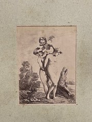 Curiosa Albumen Photograph Engraving François Boucher A. Calavas Paris 1875