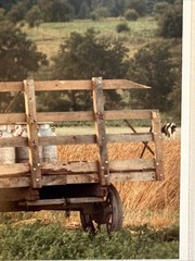 Bill Coleman Signed Amish No 682 AP Matted Photograph Farmers Horse Wagon