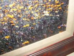Thomas Mangelsen «Tapis Magique» Original Photograph 22″x68″ 736/2500 Flowers