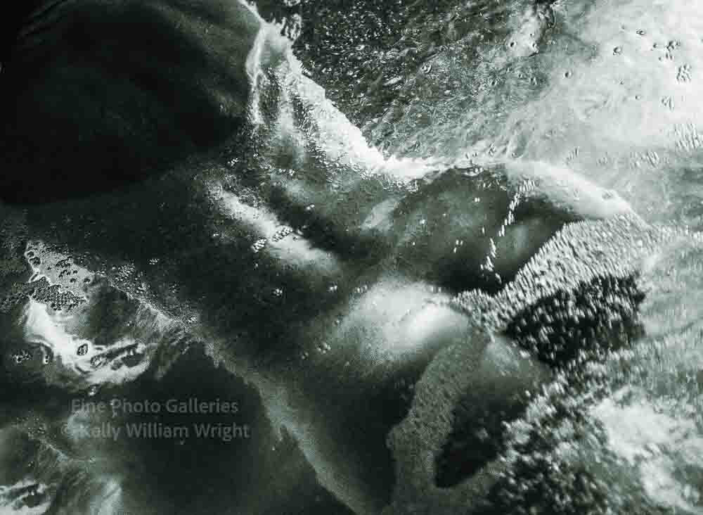 KELLY WILLIAM WRIGHT Female Nude SIREN Surreal Underwater Butt Photo Art 8×10