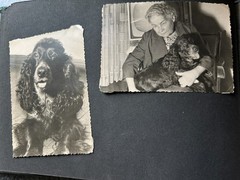 Old Photo Album Civilian with Flaws, Life in the GDR, /105